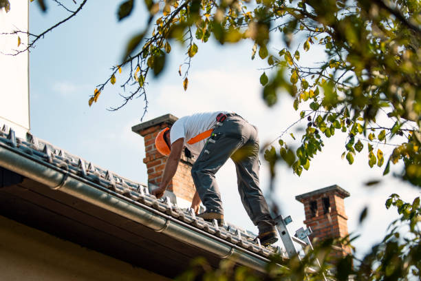 Quick and Trustworthy Emergency Roof Repair Services in Blakely, PA
