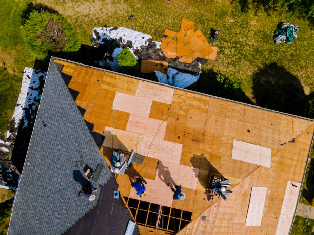 Best Flat Roof Repair Services  in Blakely, PA